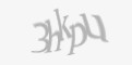 Защитный код