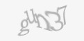 Защитный код